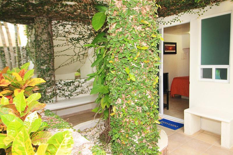 Bon Jesus Hotel La Vigueta Экстерьер фото
